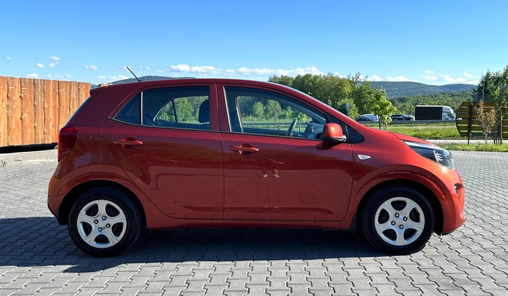 Kia Picanto cena 42900 przebieg: 35100, rok produkcji 2019 z Kraków małe 529